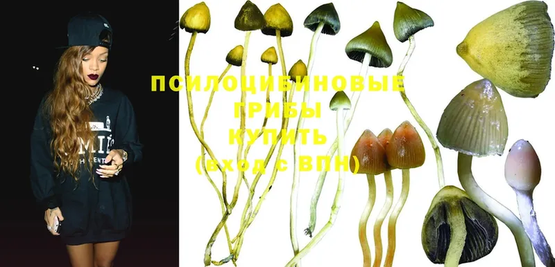 мега маркетплейс  Татарск  Галлюциногенные грибы Psilocybe 